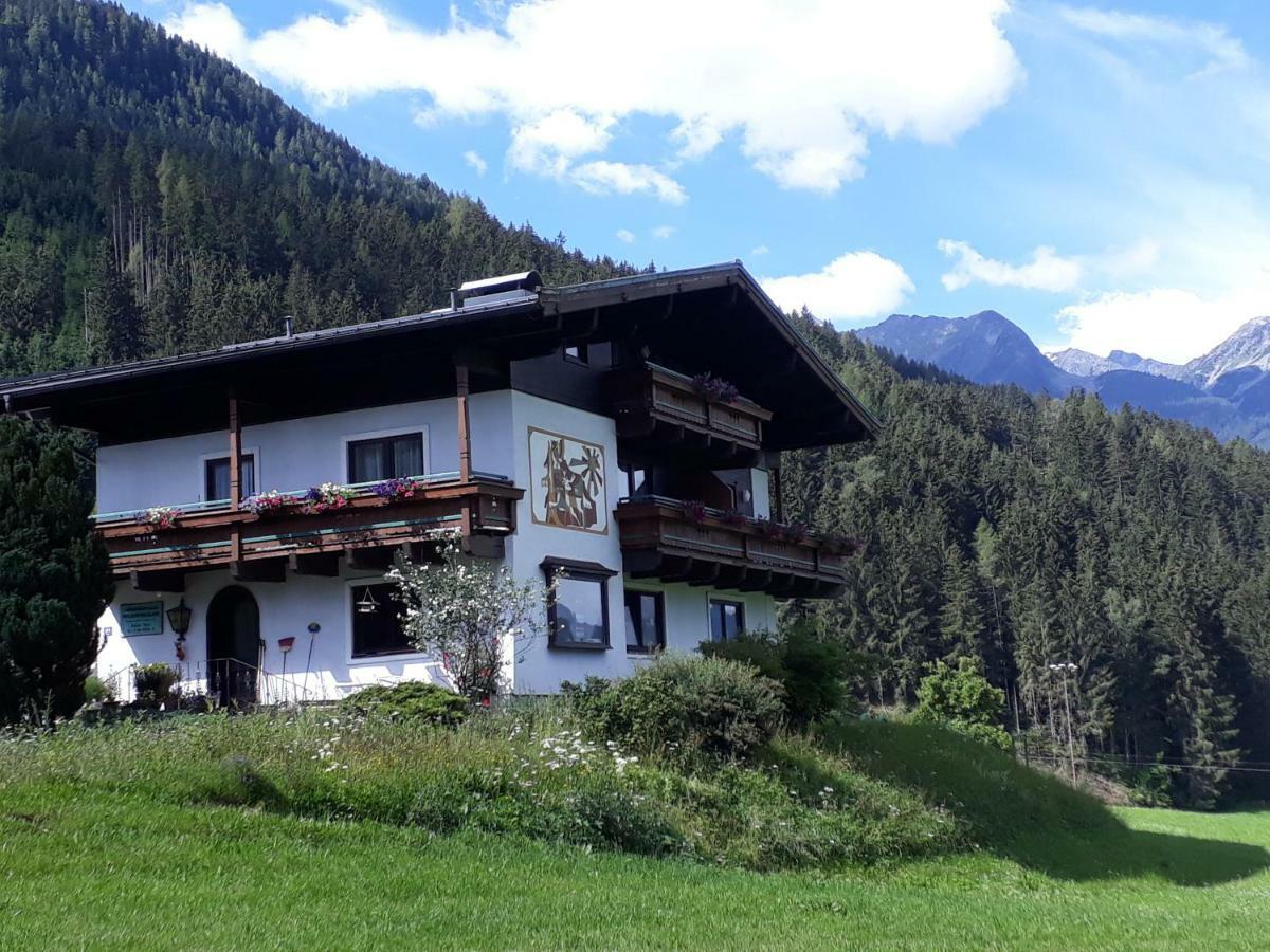 Appartement Wildkogelblick Нойкирхен-ам-Гросфенедигер Экстерьер фото